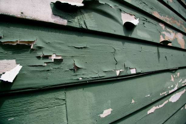Best Foreclosure Cleanout  in Frankfort, MI